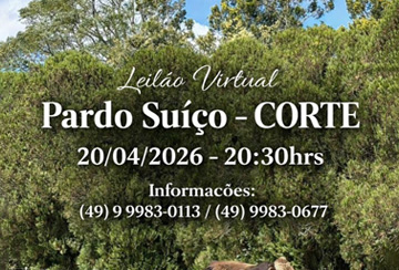 LEILÃO VIRTUAL PARDO SUIÇO - CORTE